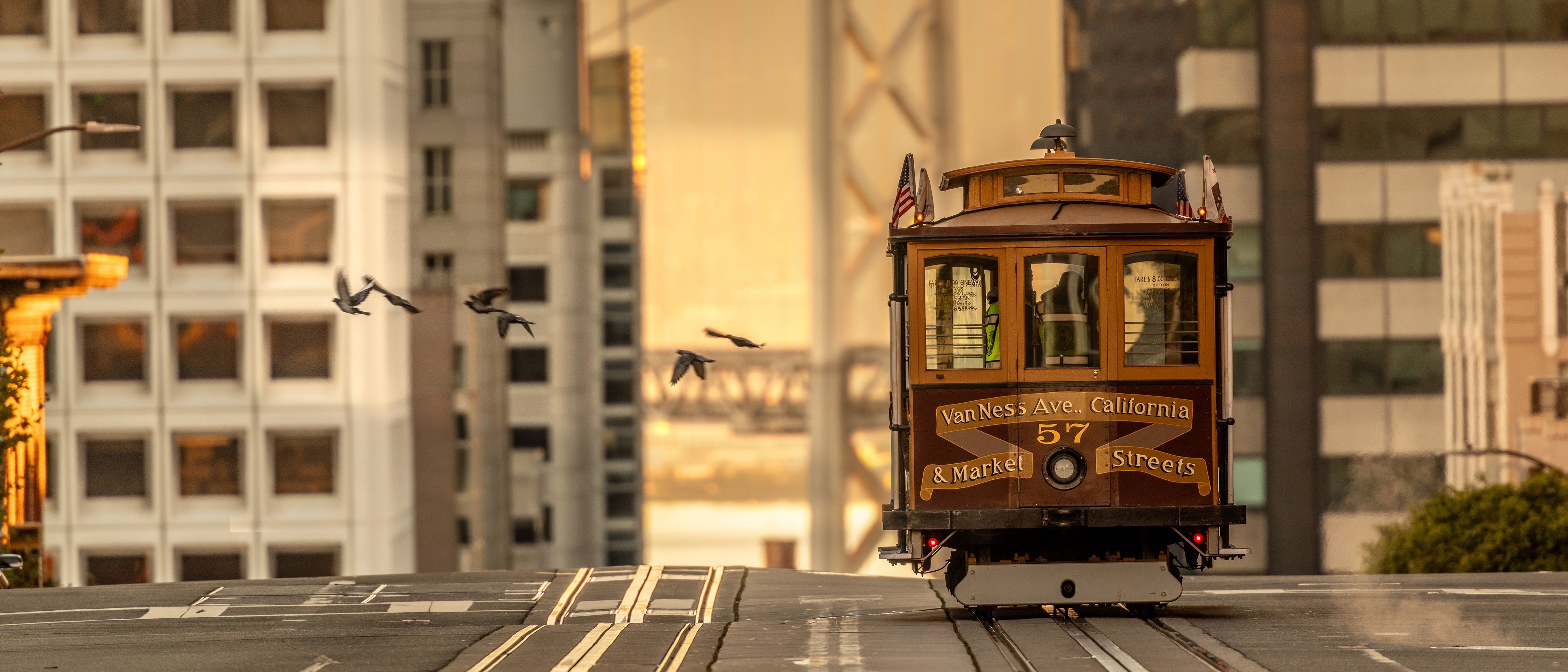 San Francisco cable car marked Van Ness Avenue, California & Market Streets, traveling uphill at sunset with birds flying across the frame and tall buildings in the background.